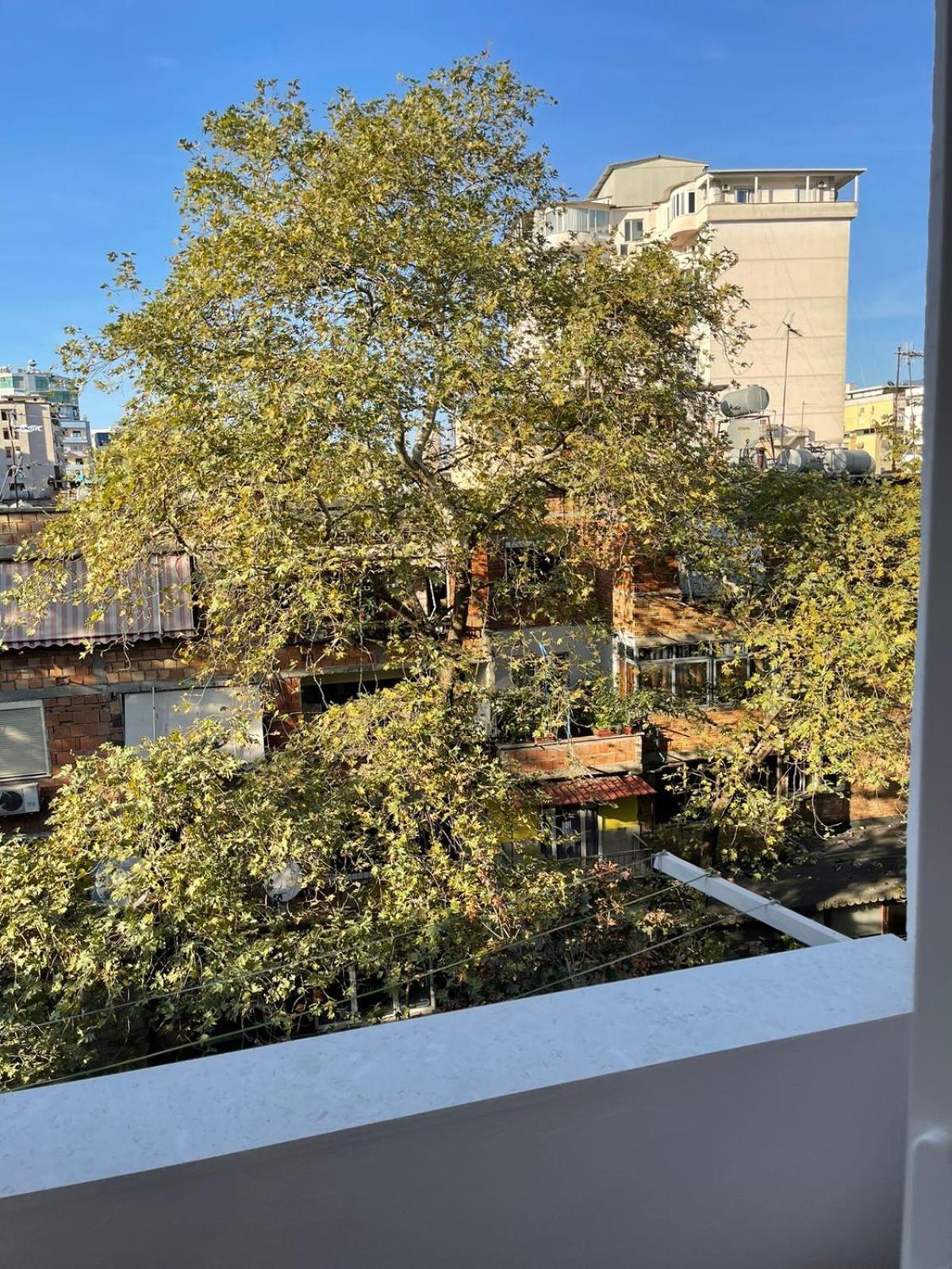 Dream Apartament Τίρανα Εξωτερικό φωτογραφία